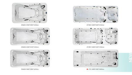 Плавательный спа бассейн Lovia Spa ZR6802
